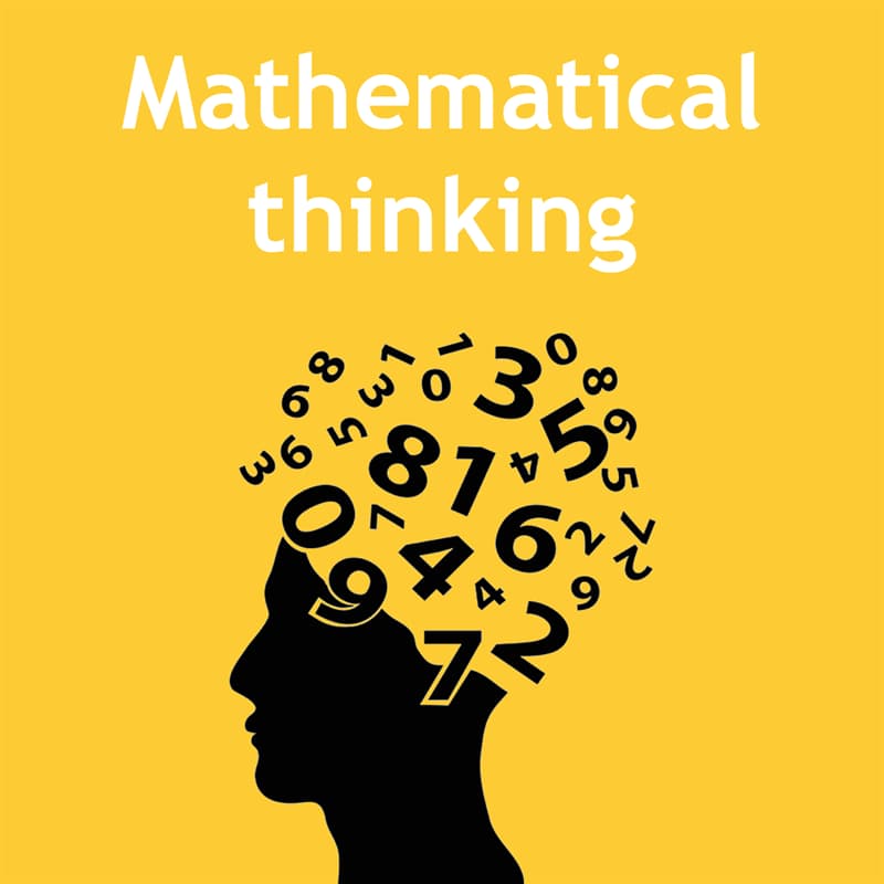 Thinking mathematically – what does it mean?